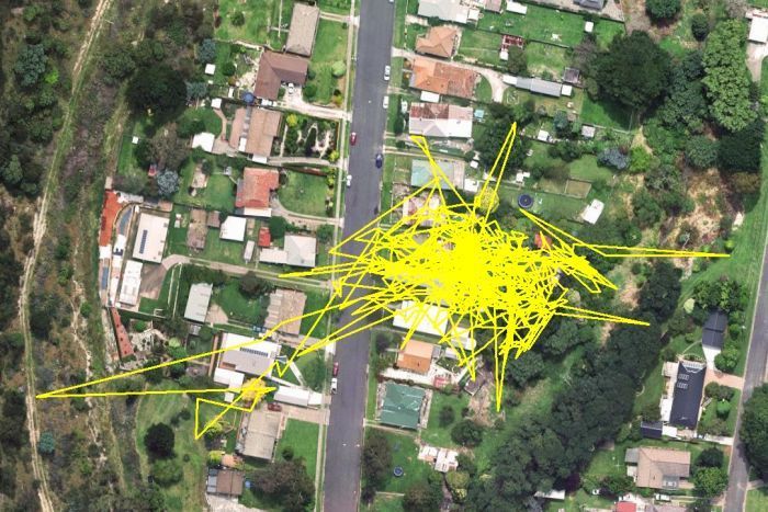 Cat Owners Use GPS To Learn About Their Pets' Habits (3 pics)