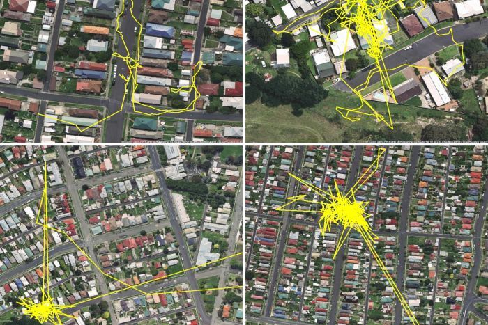 Cat Owners Use GPS To Learn About Their Pets' Habits (3 pics)