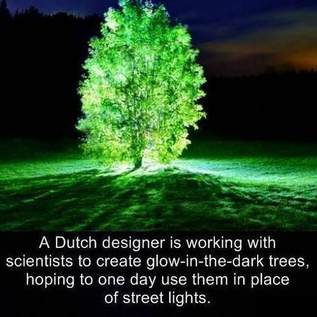 Little Known Facts For You To Store In Your Brain (27 pics)