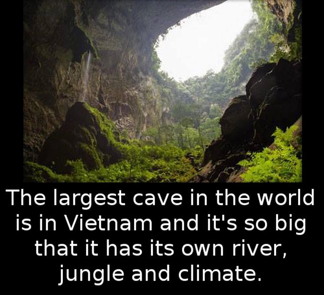 Little Known Facts For You To Store In Your Brain (27 pics)