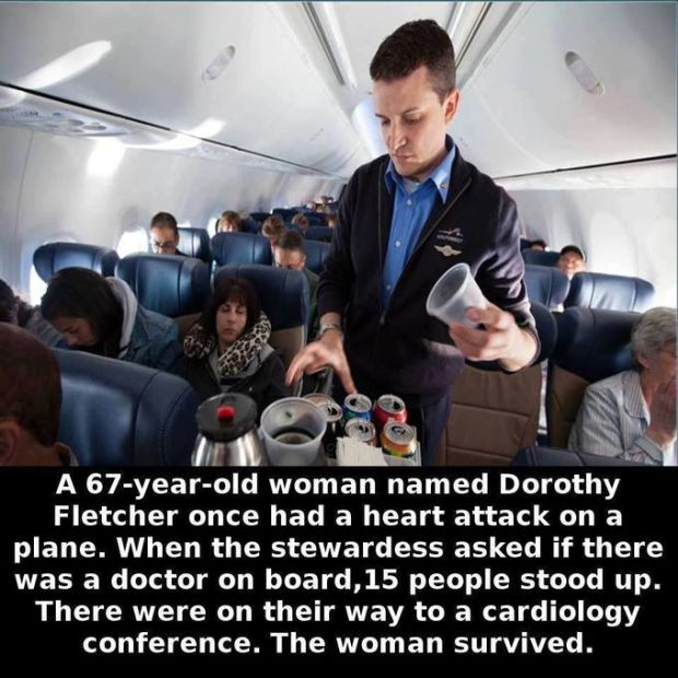 Little Known Facts For You To Store In Your Brain (27 pics)