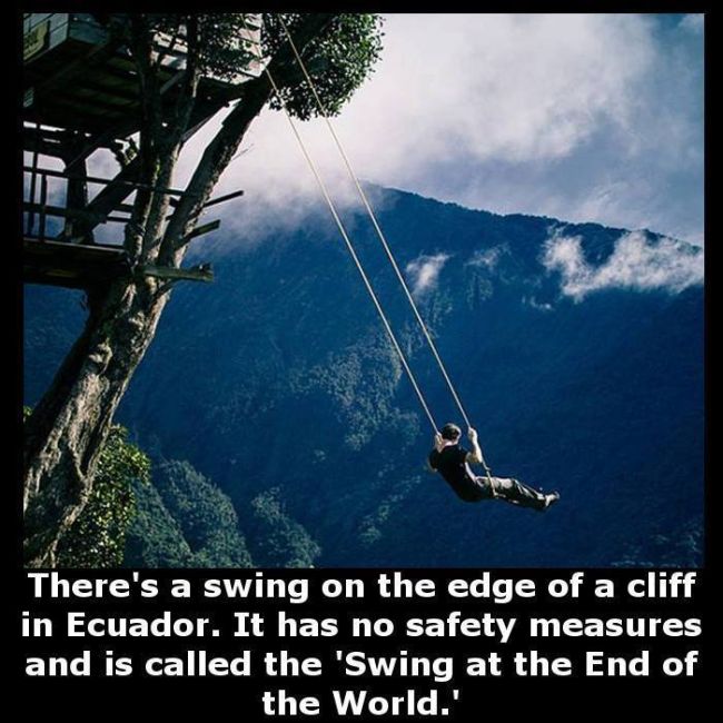 Little Known Facts For You To Store In Your Brain (27 pics)
