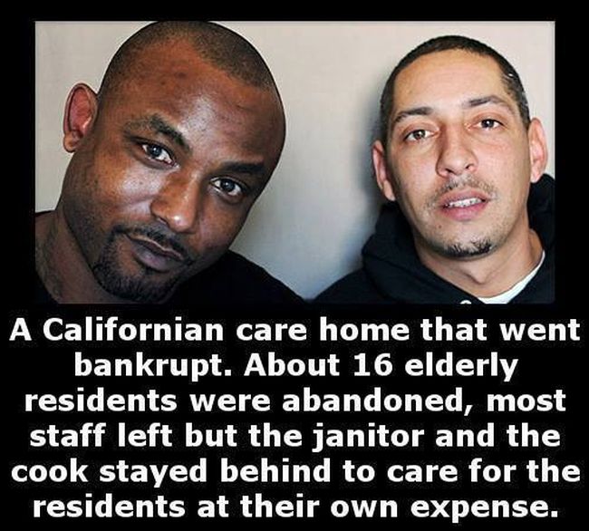 Little Known Facts For You To Store In Your Brain (27 pics)