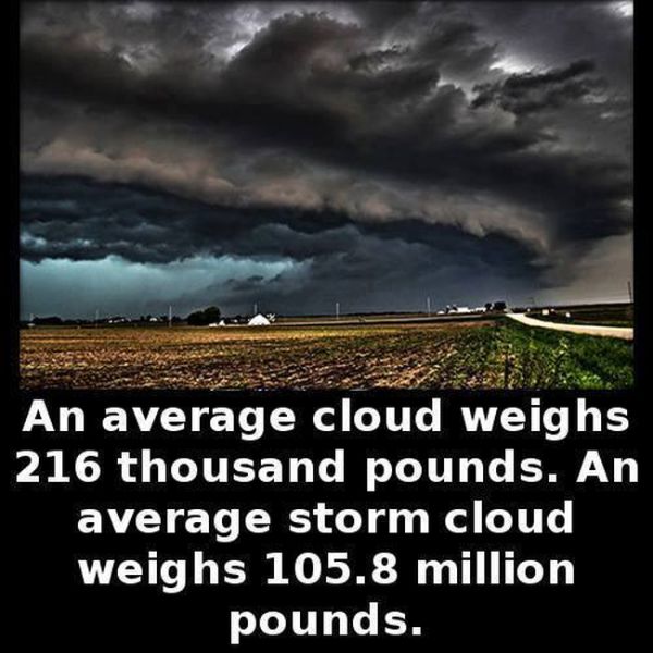 Little Known Facts For You To Store In Your Brain (27 pics)