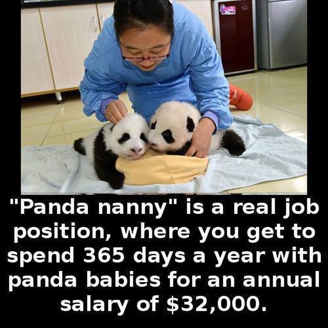 Little Known Facts For You To Store In Your Brain (27 pics)
