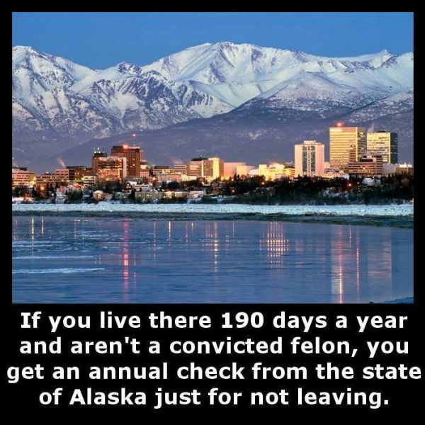 Little Known Facts For You To Store In Your Brain (27 pics)