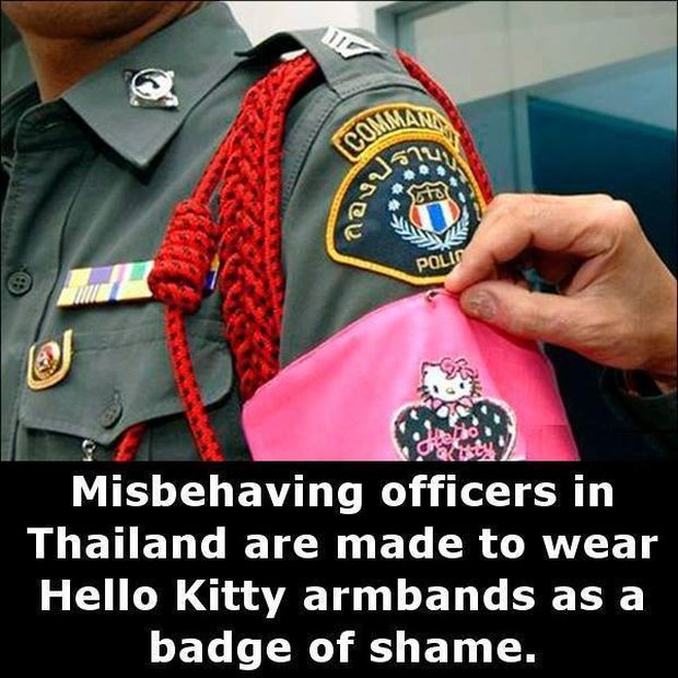 Little Known Facts For You To Store In Your Brain (27 pics)