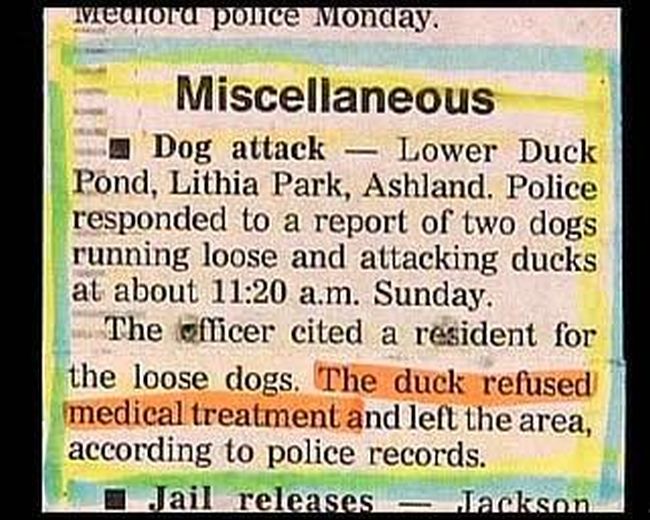 Hilarious Hidden Gems That Were Found In Bizarre Police Reports (20 pics)
