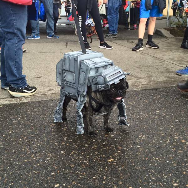 Acid Picdump (108 pics)