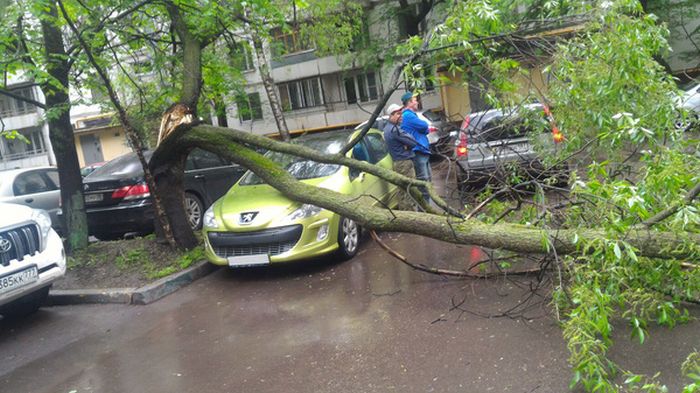 Driver Parks In The Luckiest Parking Spot Ever (3 pics)