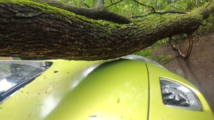Driver Parks In The Luckiest Parking Spot Ever (3 pics)