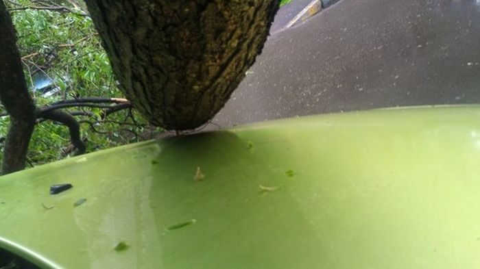 Driver Parks In The Luckiest Parking Spot Ever (3 pics)