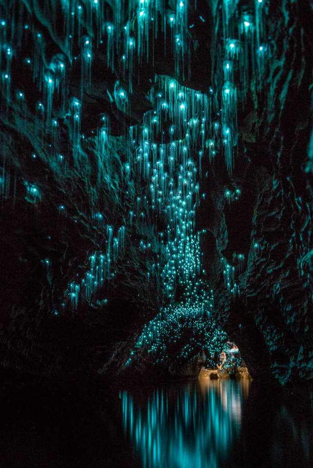 Glow Worms Make The Waitomo Caves A Magical Place To Visit (12 pics)