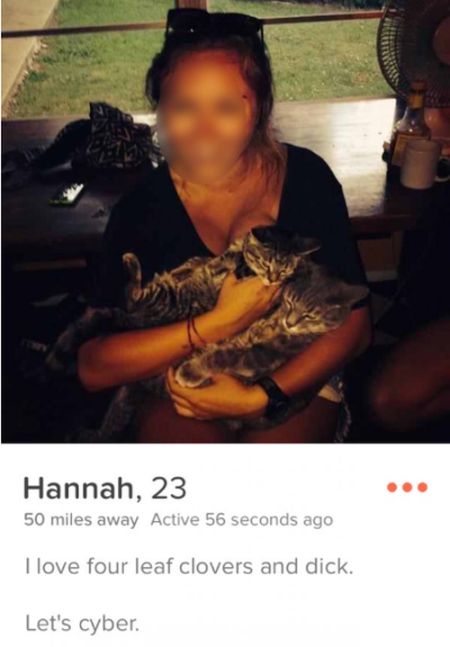 Blunt Tinder Users Who Got Straight To The Point With Their Profile (16 pics)