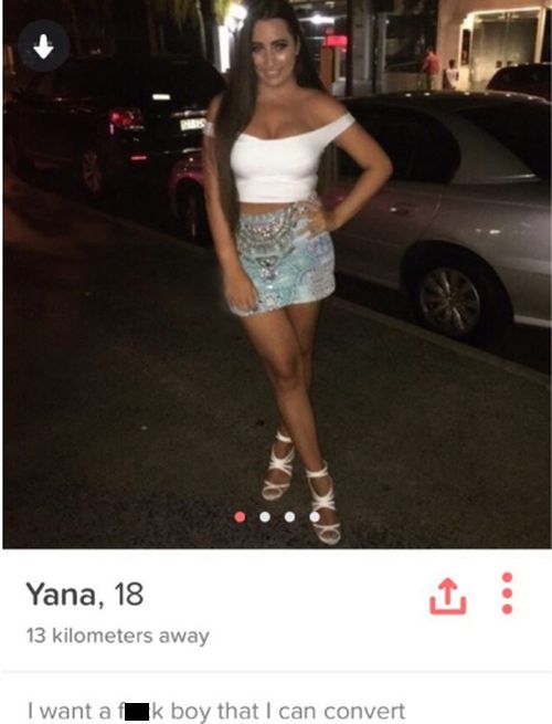 Blunt Tinder Users Who Got Straight To The Point With Their Profile (16 pics)