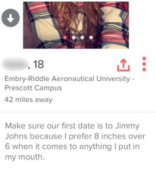 Blunt Tinder Users Who Got Straight To The Point With Their Profile (16 pics)