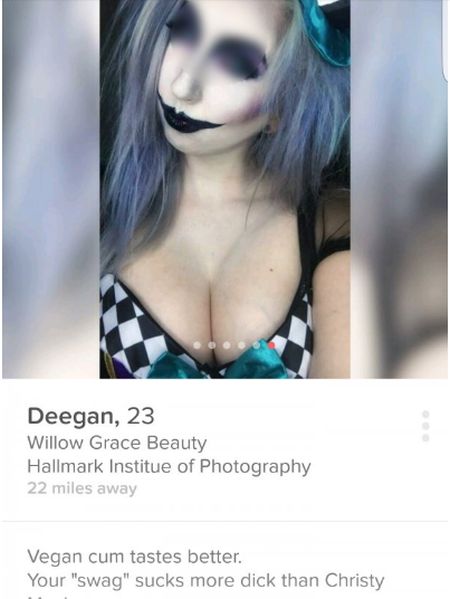 Blunt Tinder Users Who Got Straight To The Point With Their Profile (16 pics)