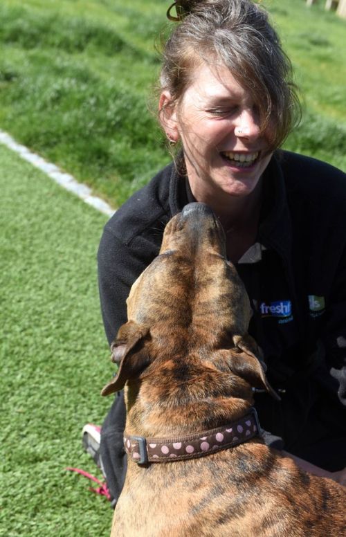 Lonely Dog In Britain Still Searching For A Home (4 pics)