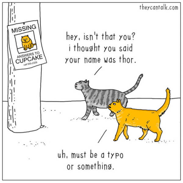What Animals Would Probably Say If They Could Talk (30 pics)