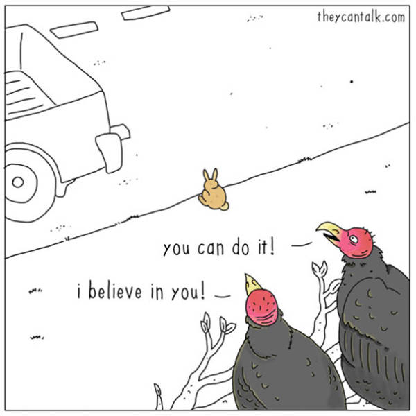 What Animals Would Probably Say If They Could Talk (30 pics)