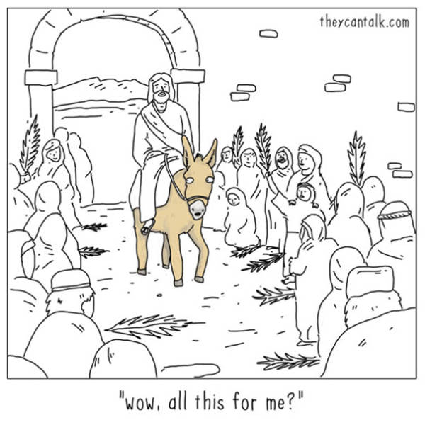 What Animals Would Probably Say If They Could Talk (30 pics)