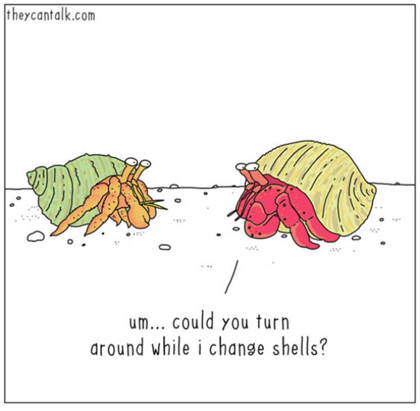 What Animals Would Probably Say If They Could Talk (30 pics)