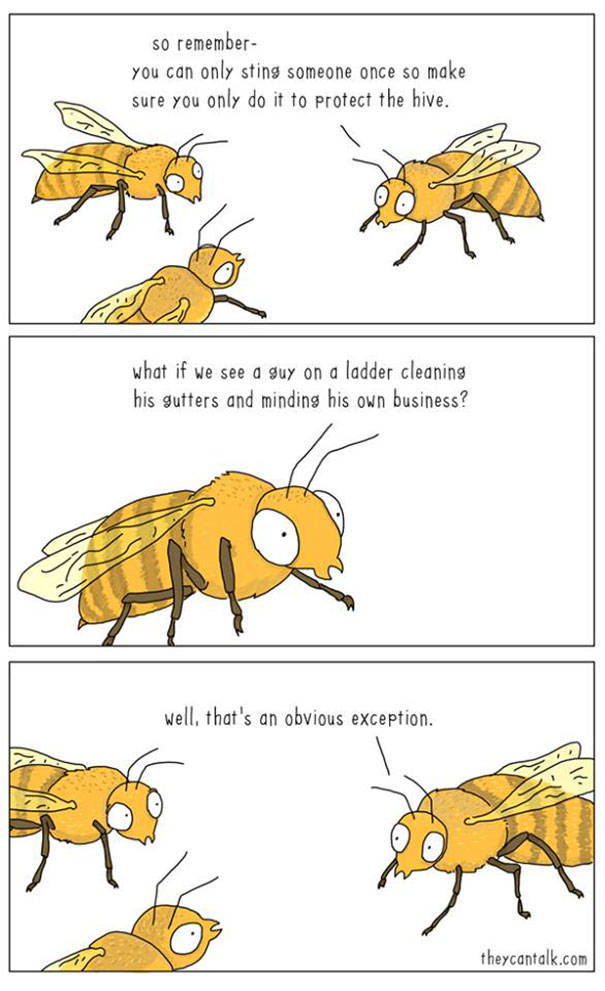 What Animals Would Probably Say If They Could Talk (30 pics)