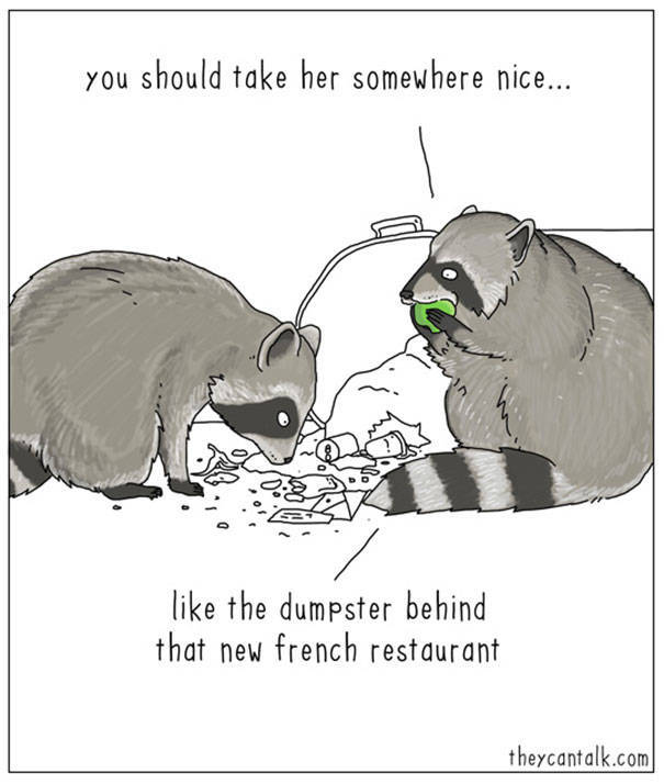 What Animals Would Probably Say If They Could Talk (30 pics)