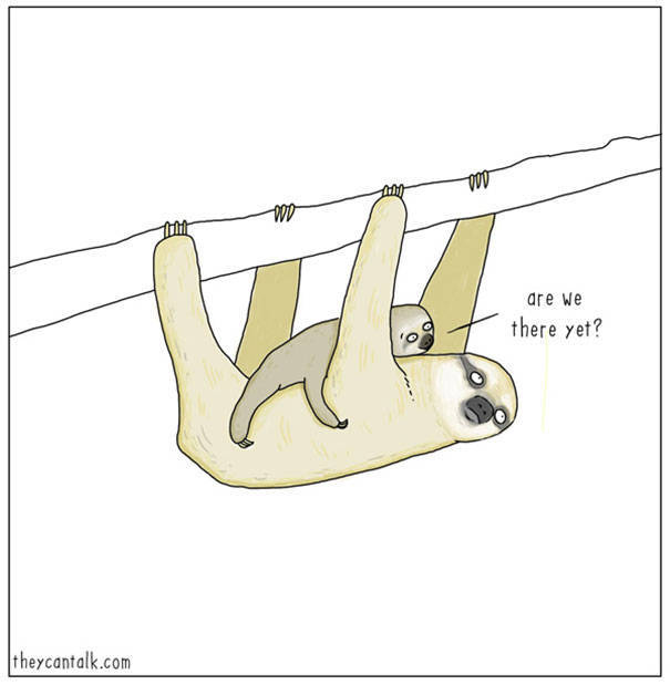 What Animals Would Probably Say If They Could Talk (30 pics)