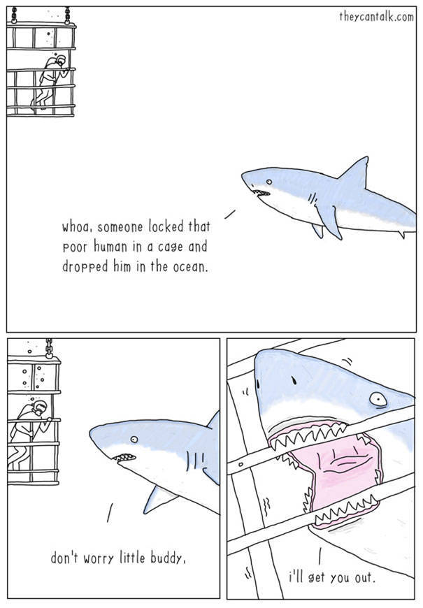What Animals Would Probably Say If They Could Talk (30 pics)