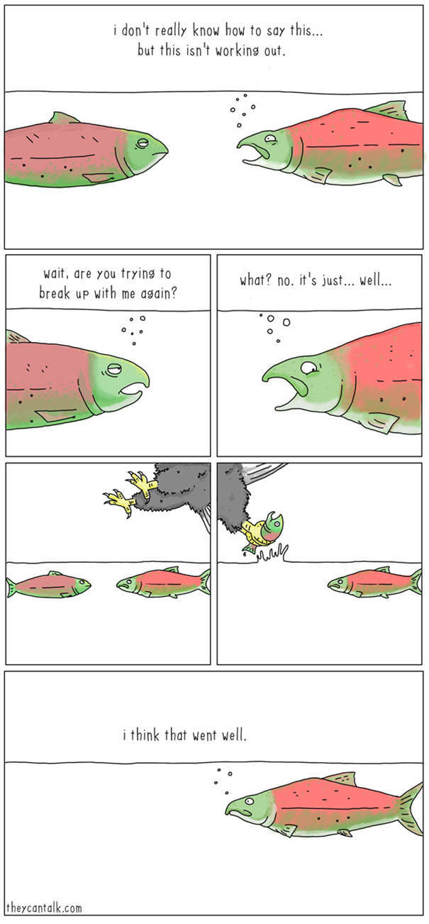 What Animals Would Probably Say If They Could Talk (30 pics)