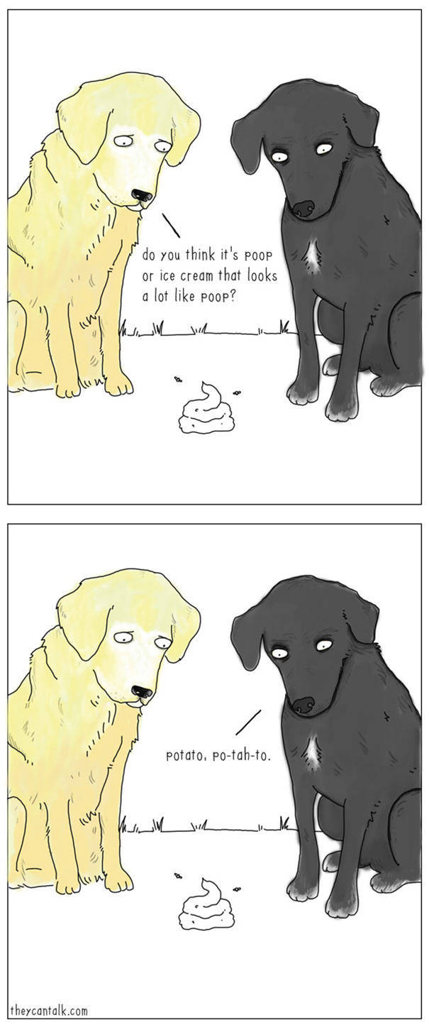 What Animals Would Probably Say If They Could Talk (30 pics)