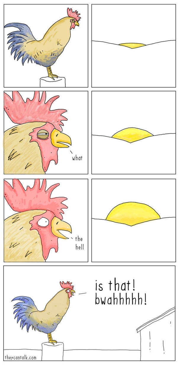 What Animals Would Probably Say If They Could Talk (30 pics)