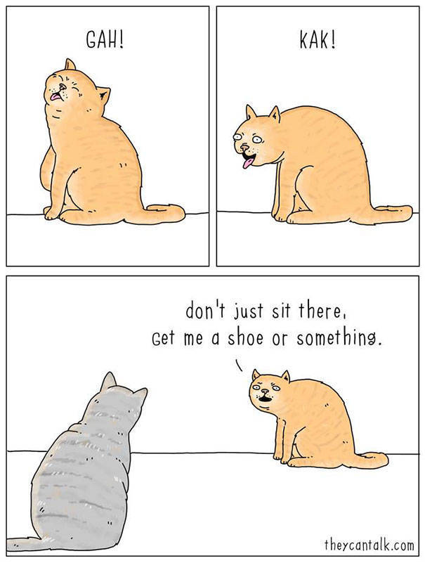 What Animals Would Probably Say If They Could Talk (30 pics)