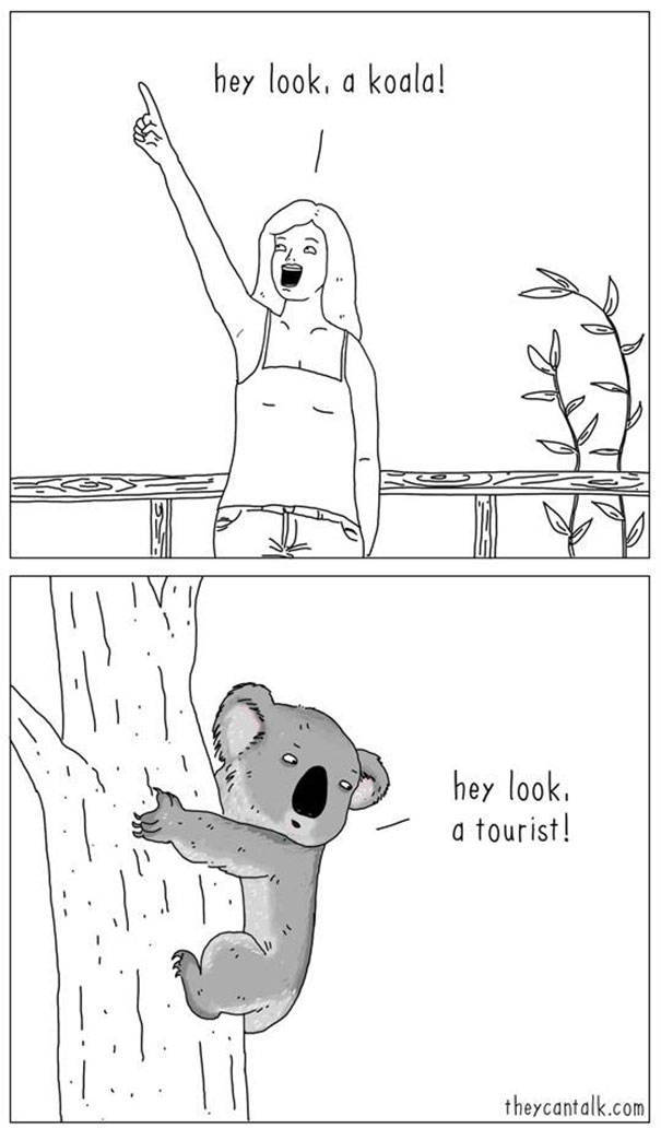 What Animals Would Probably Say If They Could Talk (30 pics)