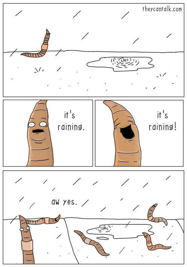What Animals Would Probably Say If They Could Talk (30 pics)