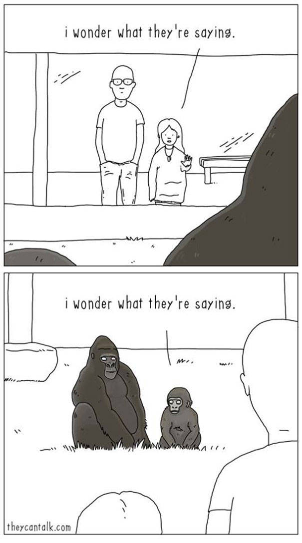 What Animals Would Probably Say If They Could Talk (30 pics)
