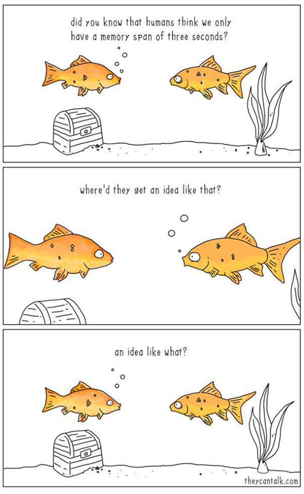 What Animals Would Probably Say If They Could Talk (30 pics)