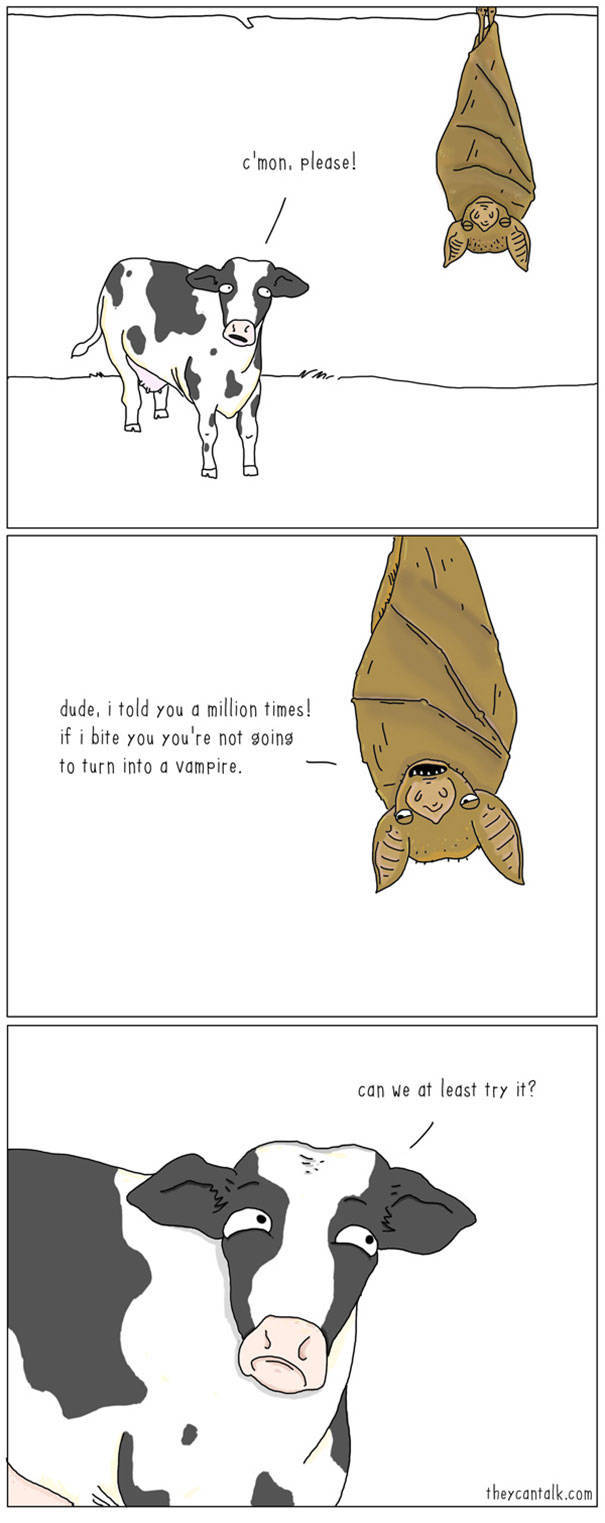 What Animals Would Probably Say If They Could Talk (30 pics)