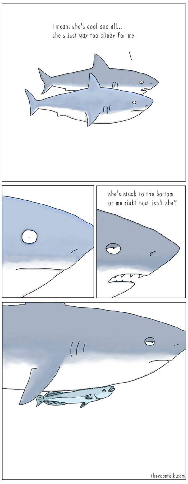 What Animals Would Probably Say If They Could Talk (30 pics)