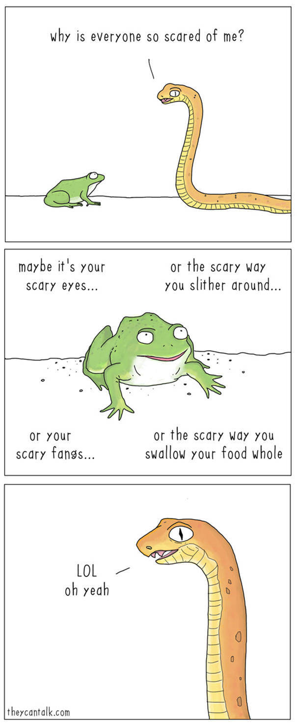 What Animals Would Probably Say If They Could Talk (30 pics)