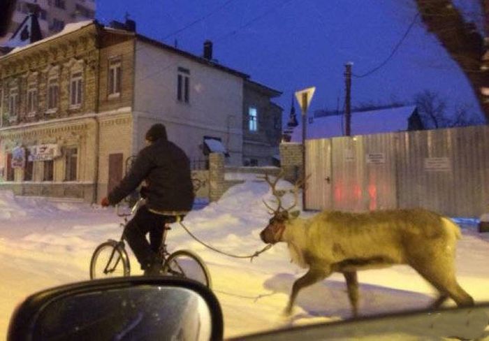 Pictures That Only Make Sense Because They Were Taken In Russia (43 pics)