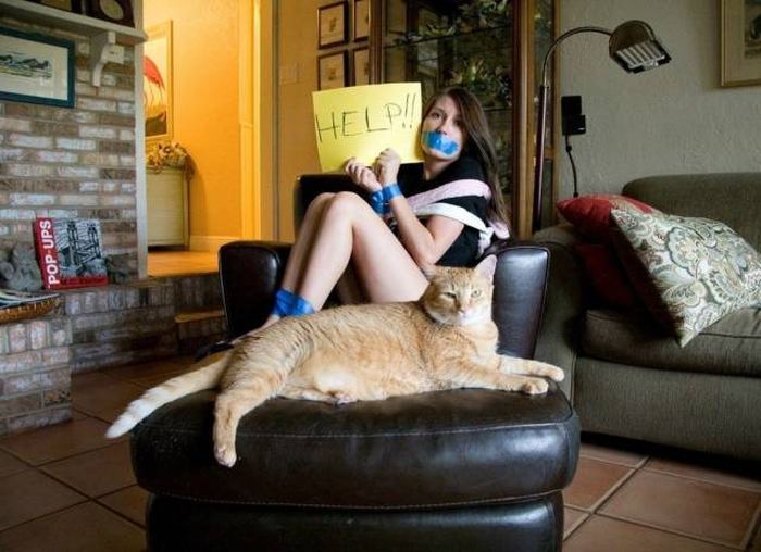 Amusing Photos That Will Please All The Cat Lovers Out There (41 pics)