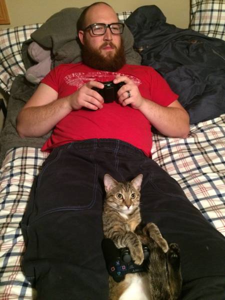 Amusing Photos That Will Please All The Cat Lovers Out There (41 pics)