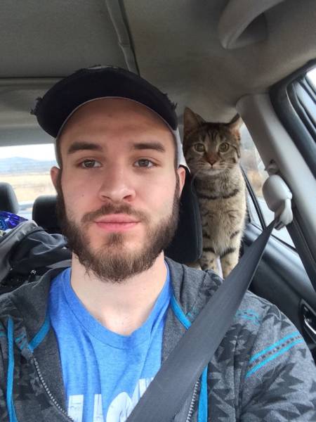 Amusing Photos That Will Please All The Cat Lovers Out There (41 pics)
