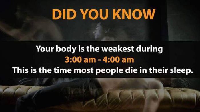 Crazy Facts That Could Improve Your Quality Of Life (20 pics)