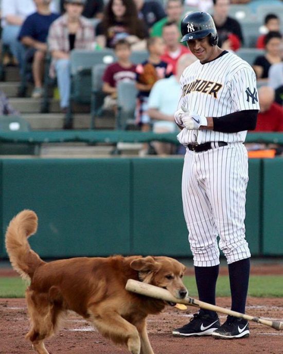 Dogs Will Forever Be Man’s Best Friend (17 pics)