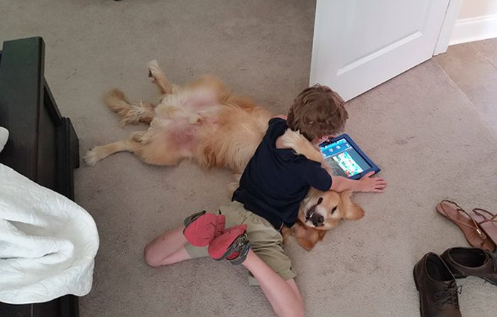 Dogs Will Forever Be Man’s Best Friend (17 pics)