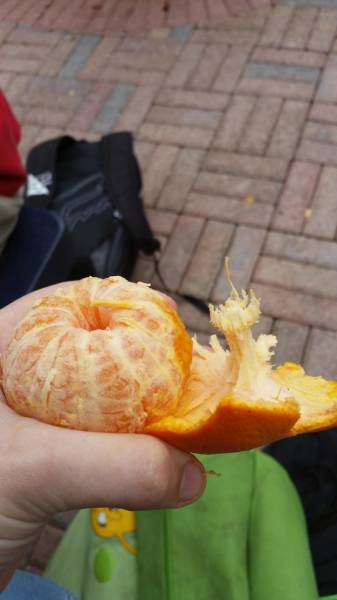 Perfect Looking Foods That Almost Look Too Perfect To Eat (29 pics)