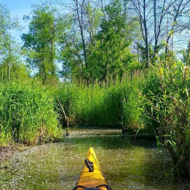 30 Reasons Why You Need To Spend More Time Kayaking (30 pics)